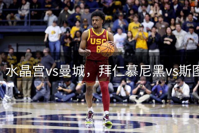 水晶宫vs曼城，拜仁慕尼黑vs斯图加特，AC米兰vs威尼斯，14场足球比赛分析
